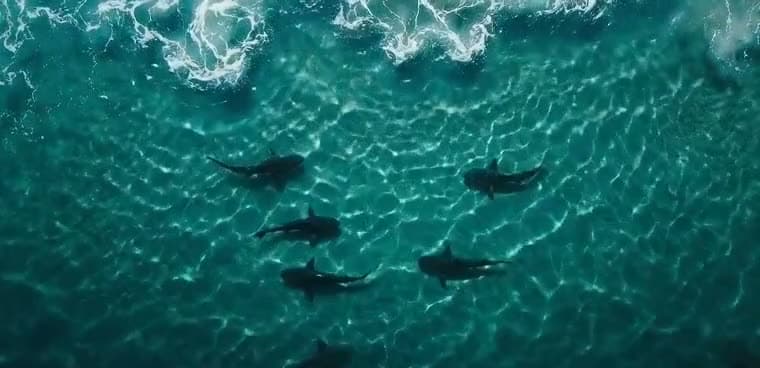 Cinematic aerial drone film still